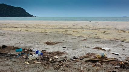 Plastic pollution washes up on beach 