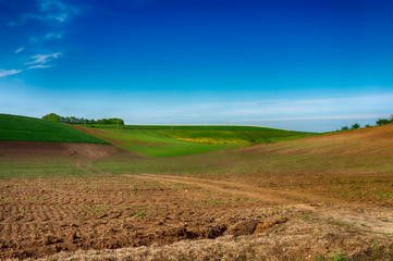 Fototapeta na wymiar Agricultural landscape with rolling hills