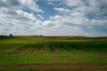 Agricultural landscape with rolling hills