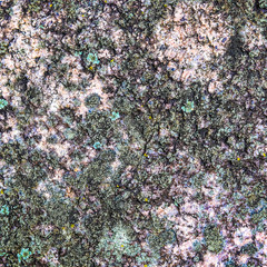 Beautiful stones with spots and textures. Can be used as background