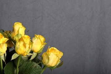 Bouquet of yellow roses. On a gray background.