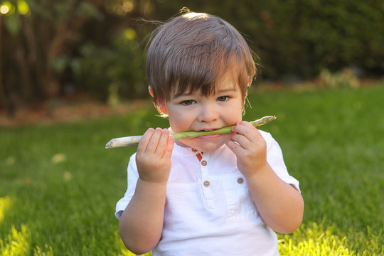 Close-up portrait of little boy eating fresh asparagus holding it in his mouth. Baby trying and tasting new food. Dieting, vegetarian and healthy nutrition concept.