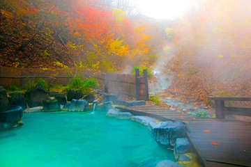 Japanese Hot Springs Onsen Natural Bath Surrounded by red-yellow leaves. In fall leaves fall in Japan.
