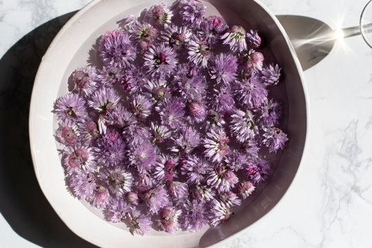 Bowl of chive blossoms in water