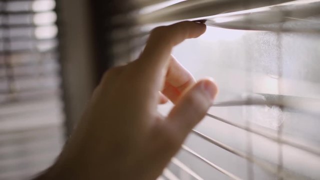 Peeking through plastic window blinds - looking outside from office or house