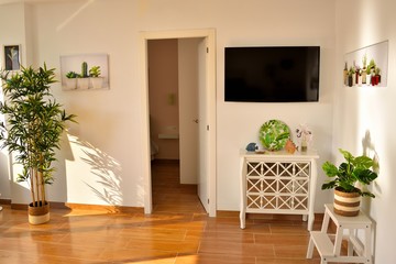 Interior modern design whit television, plants and different objects.