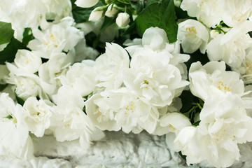 Obraz na płótnie Canvas Fragrant jasmine bouquet against