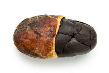 Single roasted half peeled cocoa bean isolated on white.