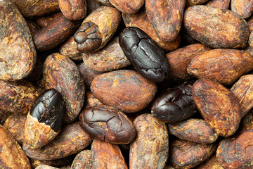 Background of roasted unpeeled and peeled cocoa beans.