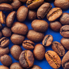 Arabica coffee beans on  blue background.