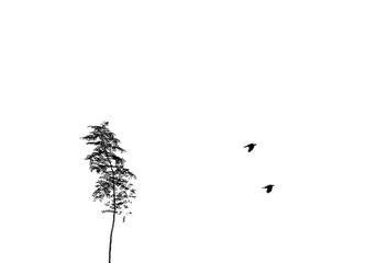 abstract silhouette tree with two birds are flying on white background