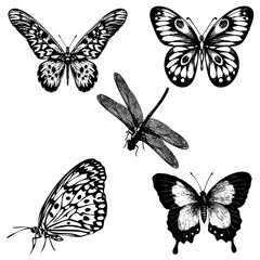 Flowers, bouquets and wreaths. Vector illustration hand drawing isolated on a transparent background