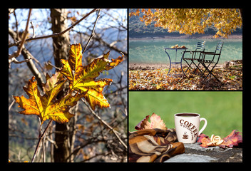 The autumn collage