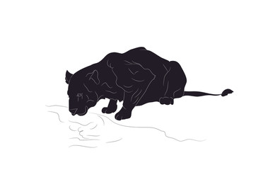 vector illustration of a lioness who drinks water, silhouette