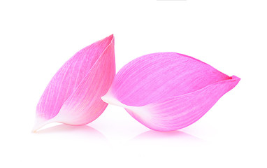 Closeup on lotus petal isolate on white background.