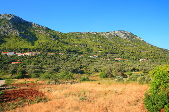 Village Babino polje on Island Mljet in Croatia
