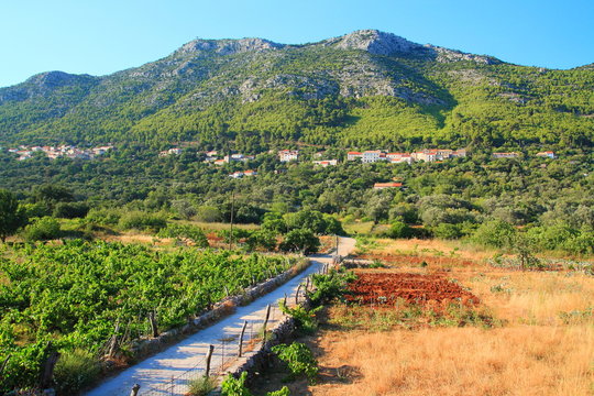 Village Babino polje on Island Mljet in Croatia