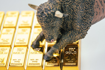 Bull market in gold investment concept, closed up of bull figure on gold bar or ingot