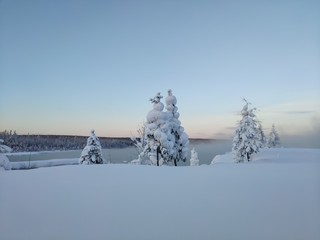 Nature of the North. Sun. Nature. Yakutia. Beauty.