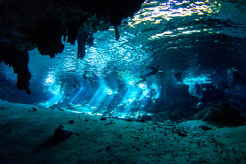 Underwater Dos Ojos Cenote Yucatan Mexico - obrazy, fototapety, plakaty