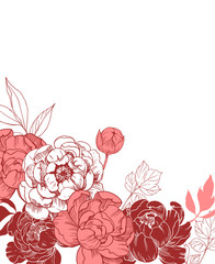 Background with peony flowers. Floral comtosition. Hand drawn elements converted to vector - obrazy, fototapety, plakaty