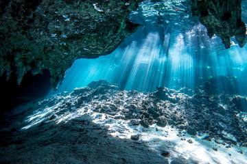 Underwater Gran Cenote Yucatan Mexico - obrazy, fototapety, plakaty