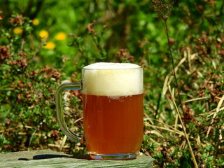 Mug of beer on background of early spring garden in May