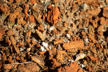 texture of stone background nature