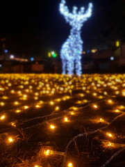 Many small yellow bulbs that are decorated on the grass.On a colorful light background