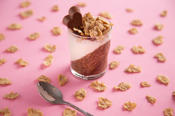 Delicious breakfast, cocoa chia pudding with yogurt and cereals