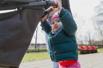 Obraz premium Young mother walks with a baby in a pram.