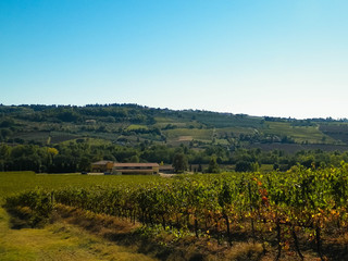 Fototapeta na wymiar Landscape of the Tuscan vineyards, Chianti region, Italy