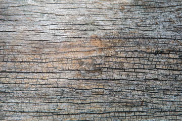 Beautiful background from old wooden.