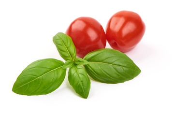 Fresh Green Basil Leaves with tomatoes, close-up, isolated on white background