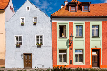dog looks out of the window of the house