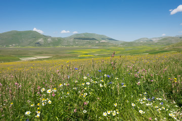 Castelluccio di Norcia in the Sibillini Park