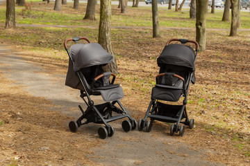Beautiful baby carriage in the park. New design.