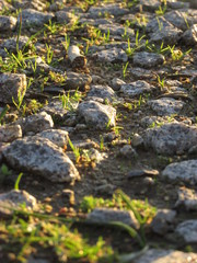 Rocks on the footpath