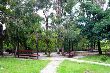 Wooden bench in the public park