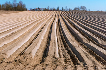 Plowed fields. Agricultural land is being prepared for the sowing season. Smooth furrows of the...