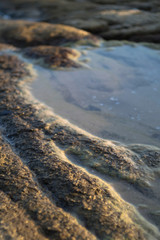 The surface of the rocks with seawater trapped