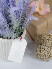 Purple lavender in white pots, with blank tag paper Placed beside flowers and gift boxes