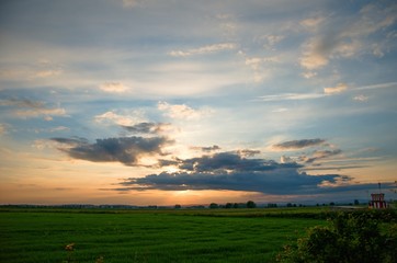 sunset over green field