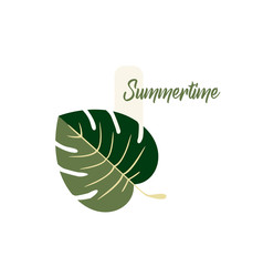 Summer Logo Vector Design - Tropical Monstera Leaf Plant Close-up - Summer Time