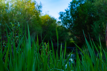 the landscape is a quiet backwater silence peace harmony