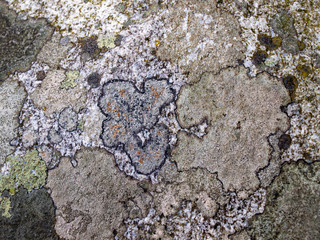 Perfect and colorful stone texture.