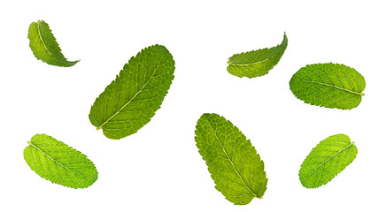 Fresh mint leaves pattern isolated on white background. Flat lay, top view. Close up of peppermint.