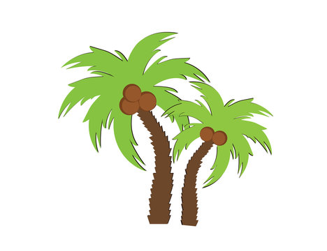 Vector image of a palm tree with coconut fruits on a white background. Icon, silhouette. Nature, harvesting.