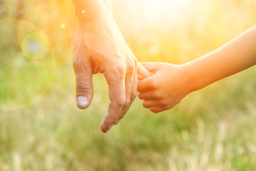 hands of parent and child in nature