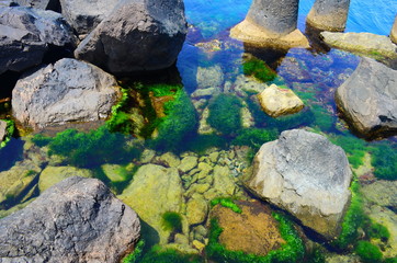 Fototapeta na wymiar Crystal clear blue Black Sea In Bulgaria, the island of Nessebar